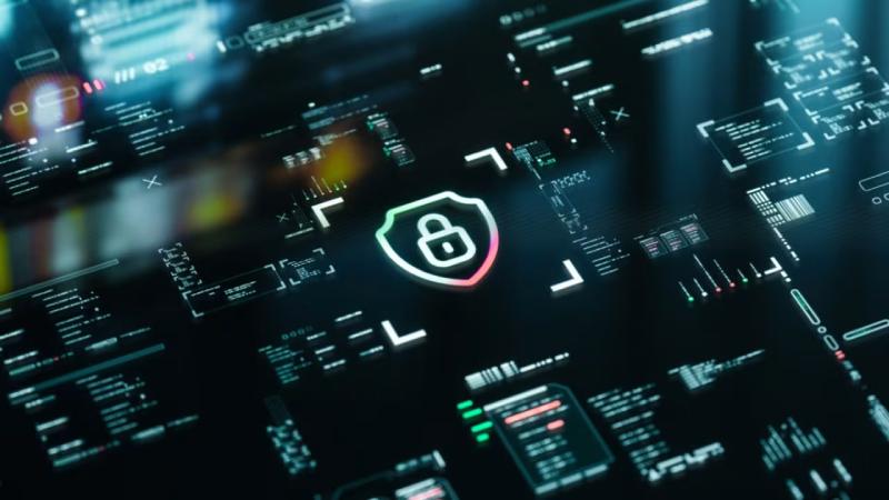 淳化县软件开发公司